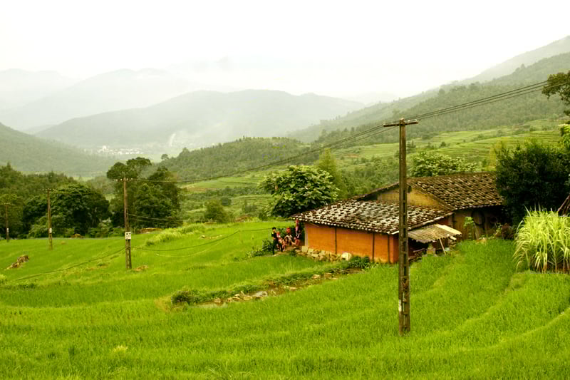 Every July and October, Binh Lieu dons the brilliant golden cloak of the ripening rice season. Thoug...