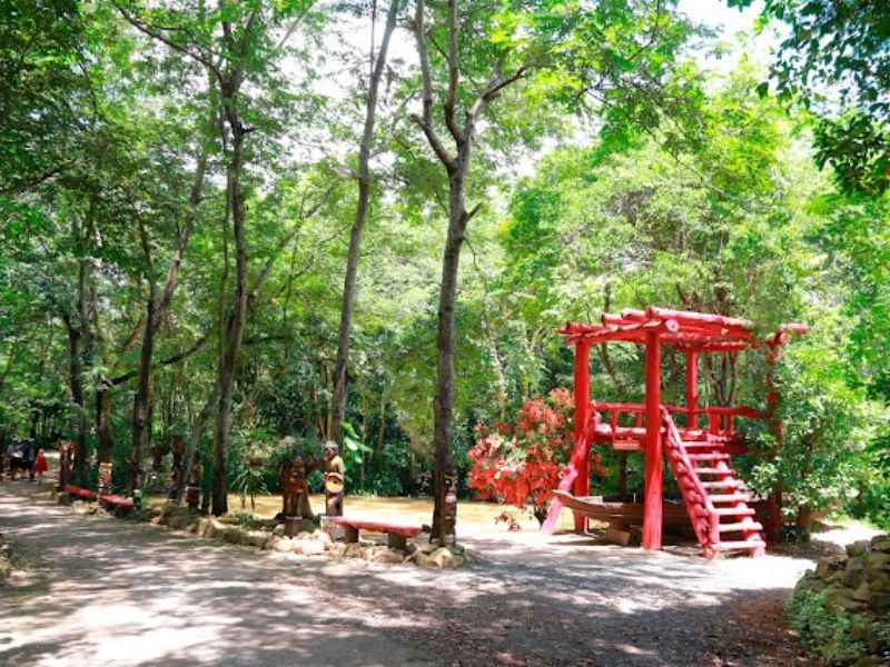 The Troh Bư ecological tourist area, nestled within Buôn Đôn, resembles a fairy-tale garden with myr...