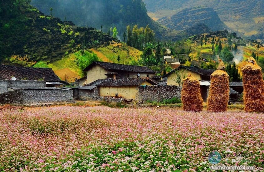 Away from the harshness of the stone, Sung La Valley appears as a lush, poetic oasis along National ...