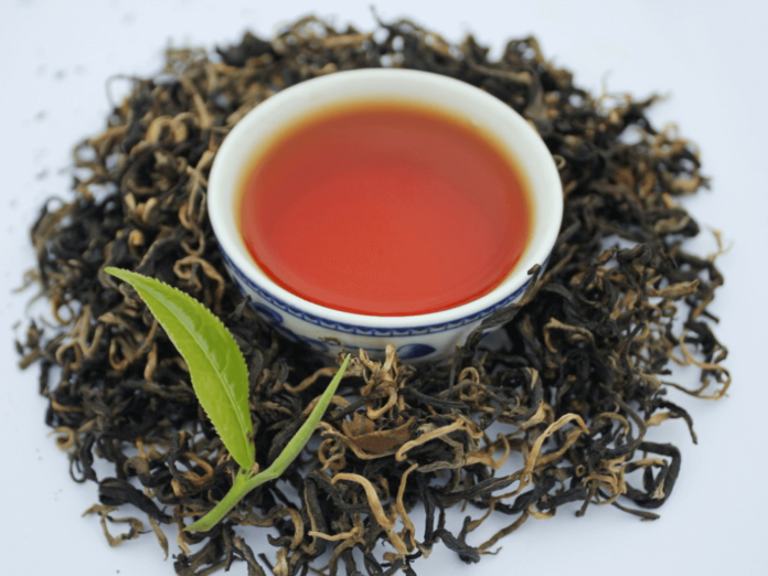 The "Queen" of Ha Giang Shan Tuyet Tea is easily recognized by its large, firm tea leaves, distincti...