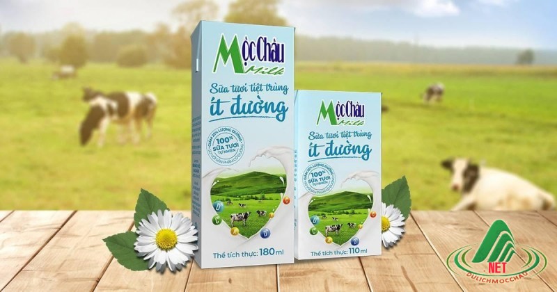 Alongside the tea hills, Mộc Châu’s cool climate and lush pastures create perfect conditions for dai...