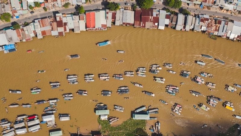 Beyond its unique food and activities, Cai Rang Floating Market serves as a central hub for distribu...