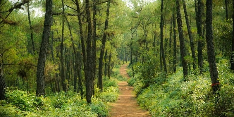 Day two unfolds a new chapter, taking you away from mossy tiled roofs to the wild, majestic natural ...