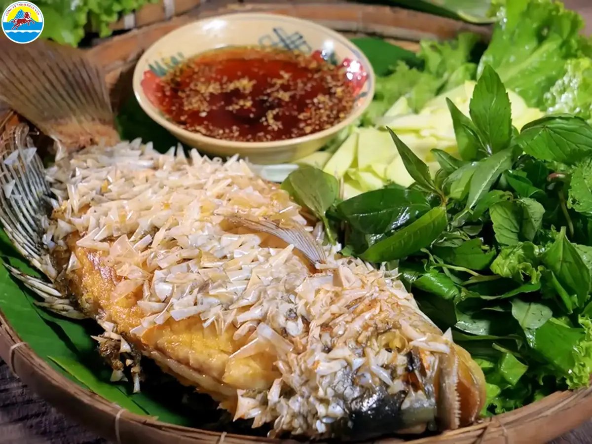 To ensure your self-guided tour of Cồn Phụng is both economical and fulfilling, estimating costs is ...