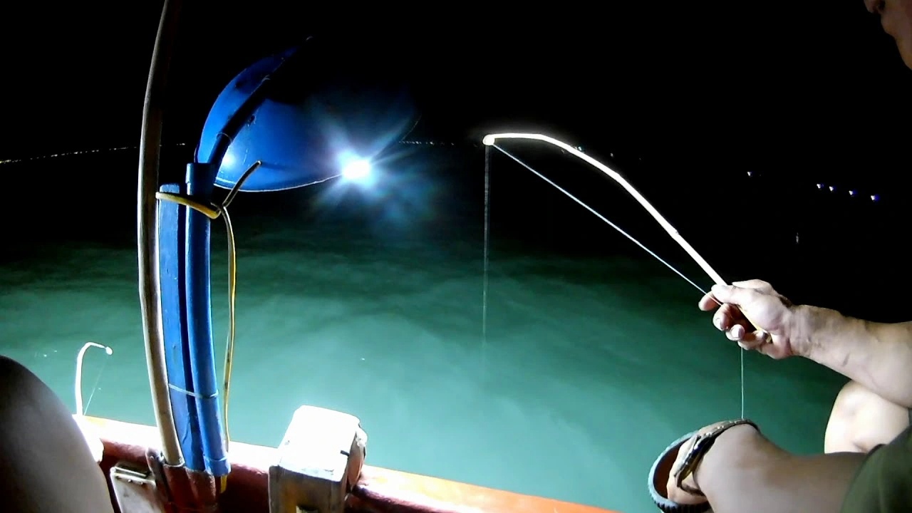 As twilight descends, Cua Lo Beach transforms into a mystical and enchanting spectacle. Night squid ...