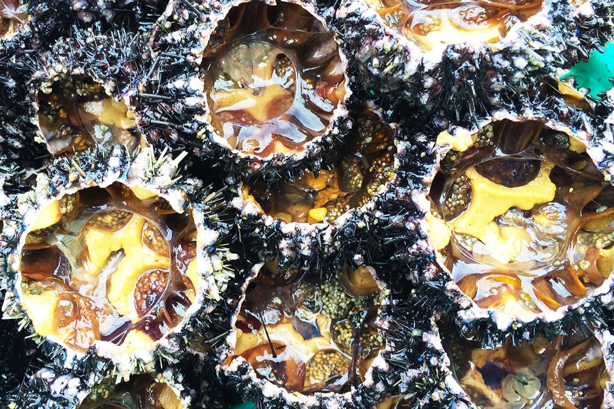 Let your taste buds be awakened with the renowned specialties of Nam Du! **Grouper hotpot** with swe...