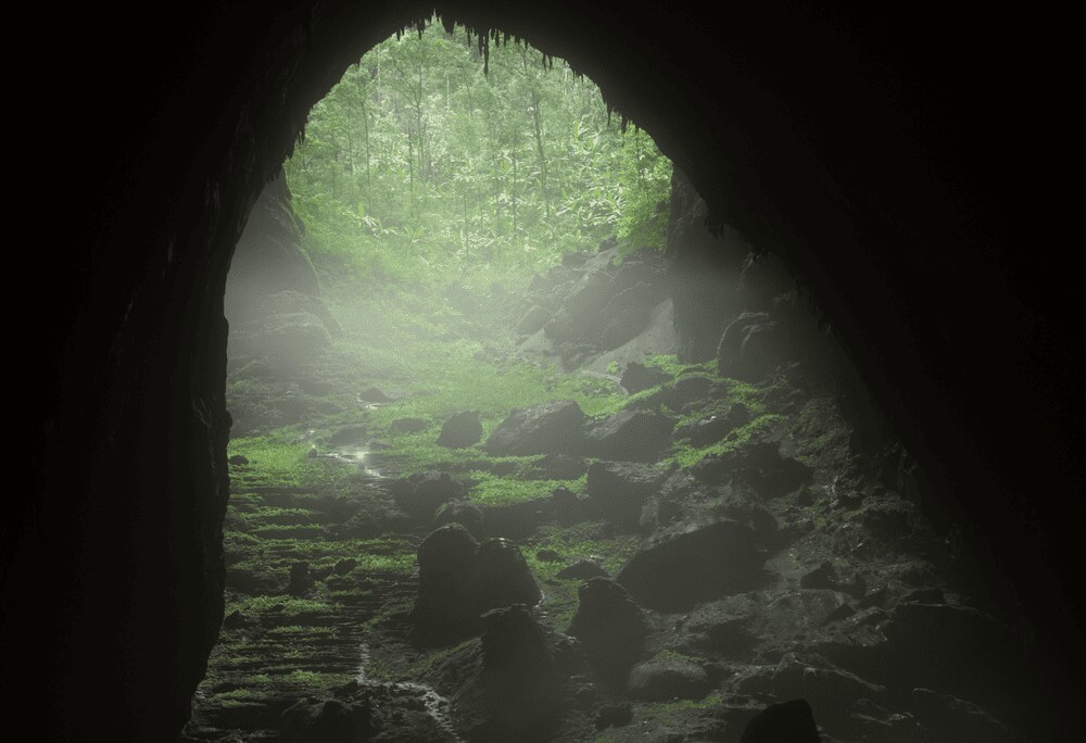 The journey to Son Doong is an expedition, not just a trip. It demands resilience and an adventurous...