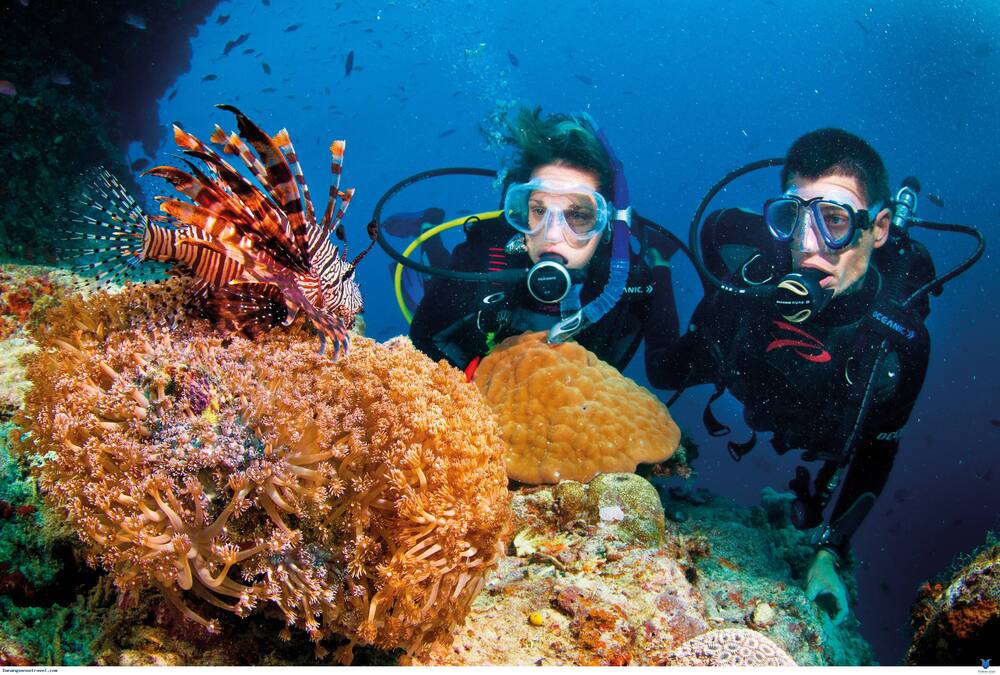 Beyond its surface allure, Kỳ Co hides a colorful underwater world beneath its pristine waters. Join...