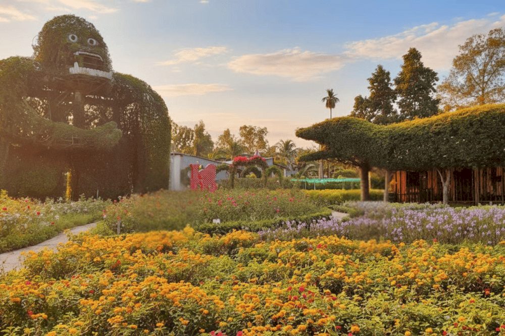 Beyond the beauty of its flower fields, the area surrounding Sa Dec Flower Village is home to many u...