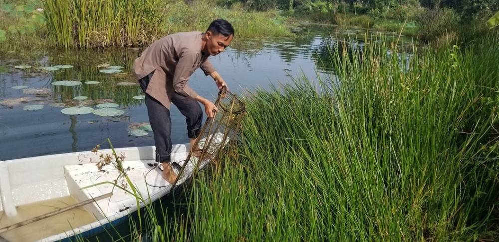 Visiting Tan Lap Floating Village during the flood season offers the delightful pleasure of wild fis...