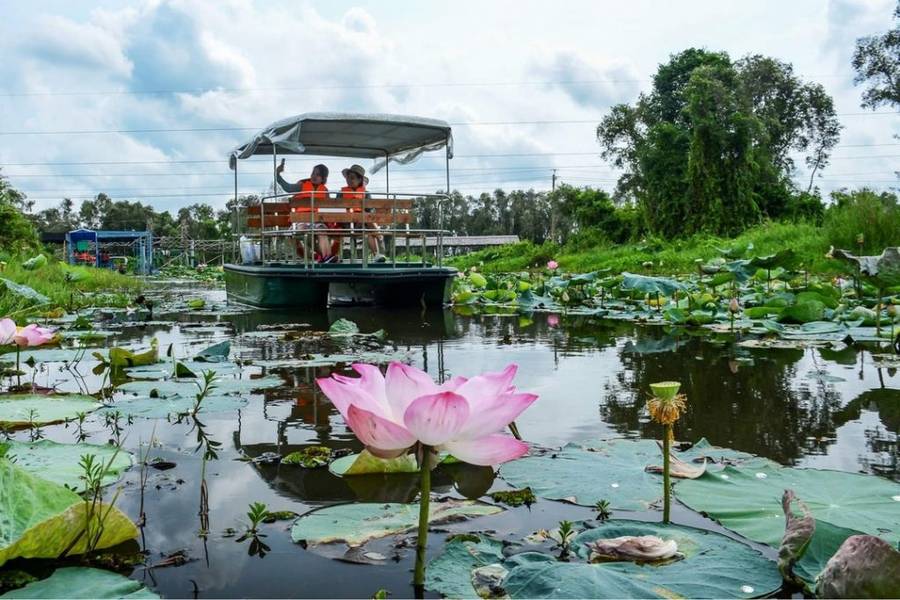While the sampan offers a gentle, leisurely pace, exploring the lotus lagoon by powerful motorboat p...
