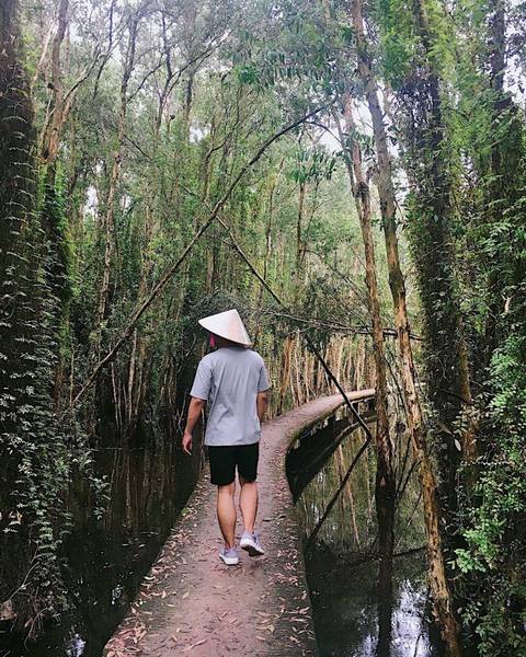 For adventurous souls, the 5km-long network of trails through the cajuput forest offers a rewarding ...