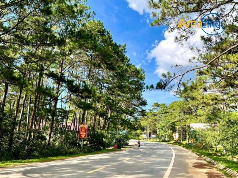 Just about 3km from the town center, Măng Cành Grassland unfolds into a lush green expanse, embraced...