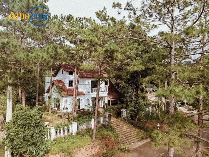 As a town that retains its pristine charm, Măng Đen does not yet boast many large resorts or hotels,...