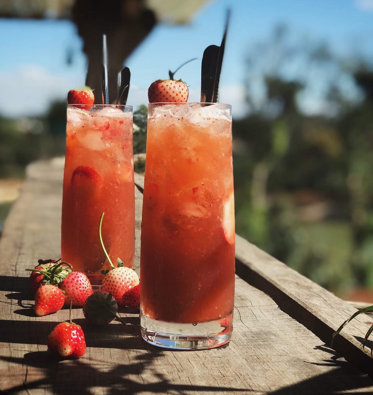 With its unique beauty, Măng Đen is a paradise for "virtual living" enthusiasts. The Kon Klor Suspen...