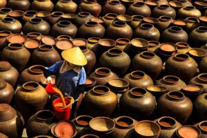 Khanh Hoa bird’s nest is sustainably harvested from natural swiftlet caves on the province’s offshor...