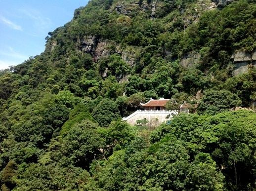 Yen Tu is not only a Buddhist holy land but also a precious biodiversity conservation area, with 268...