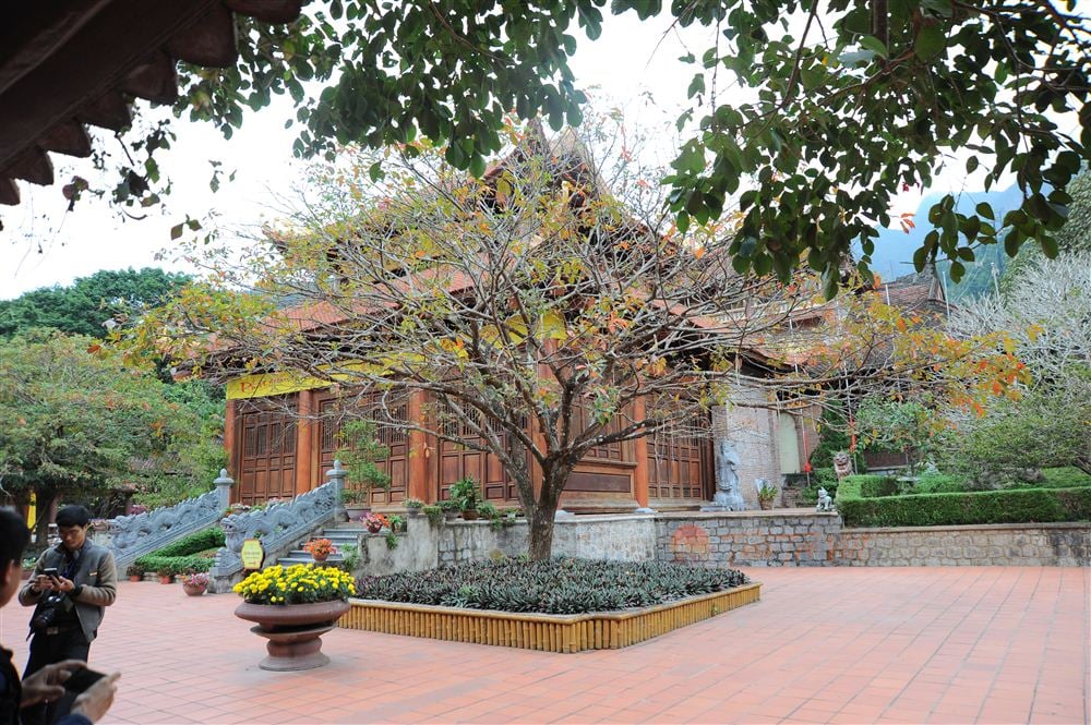 Today, Yen Tu has become an even more captivating spiritual, cultural, and ecological tourism destin...