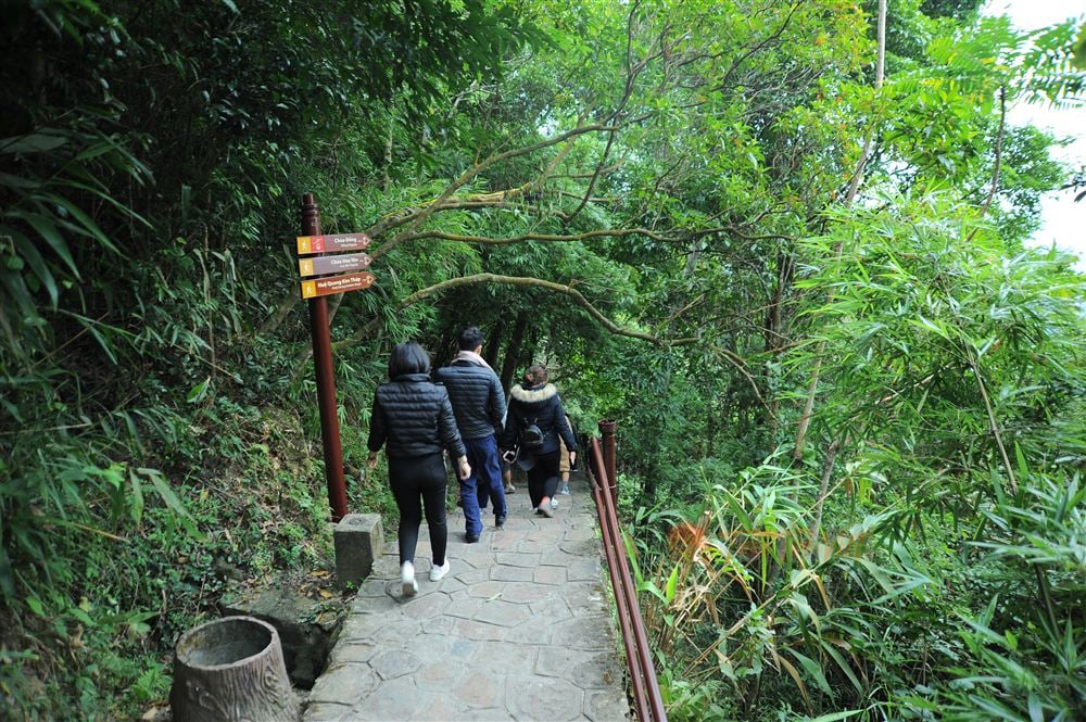 Yen Tu truly became the Buddhist capital of Dai Viet during the Tran Dynasty, when Emperor-King Tran...