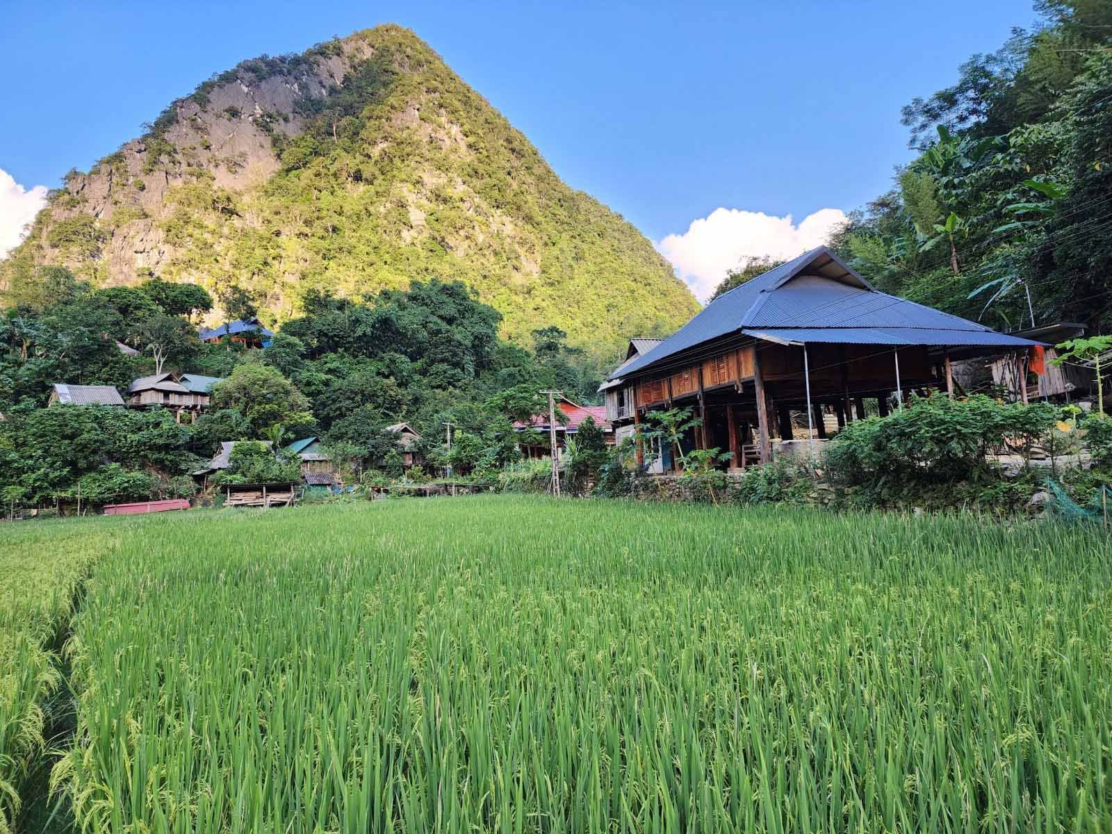 On your journey through Pù Luông, Bản Kho Mường appears with its rustic, pristine charm, where tradi...