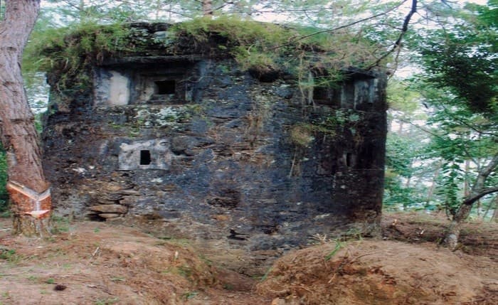 September and October mark Hoang Su Phi's most splendid period, when the terraced rice fields don th...