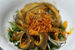 Nghệ An Eel Soup originates from riverside villages where locals harvest wild field eels. Deeply tie...