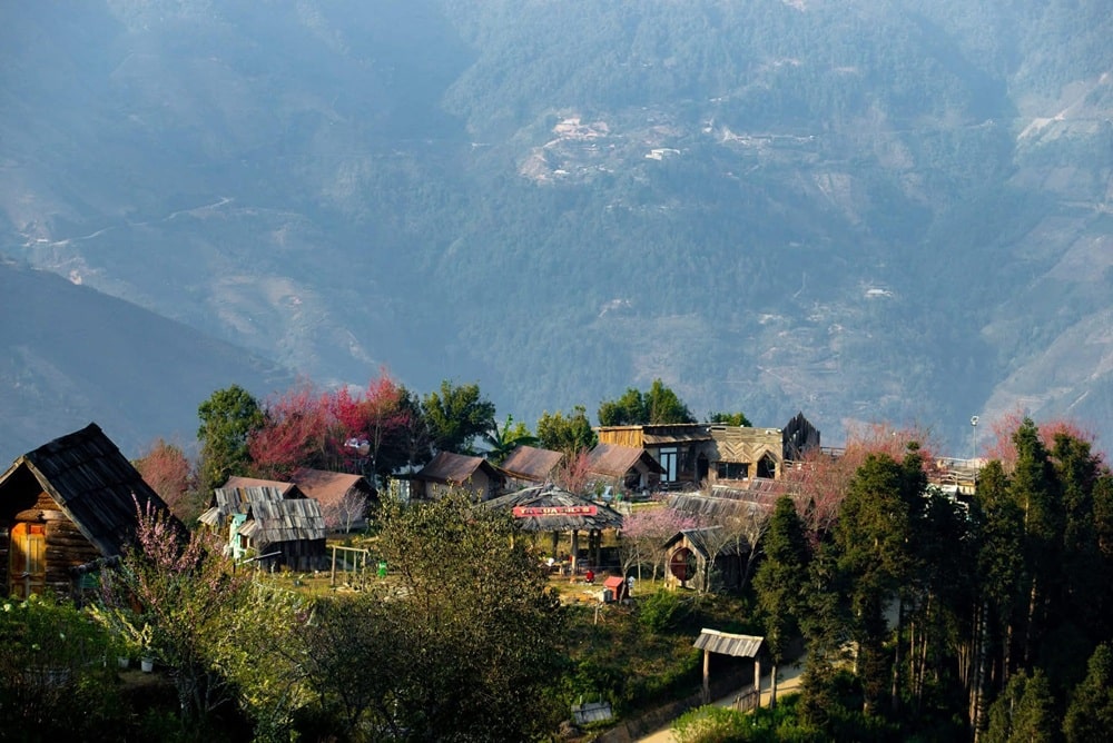 A trip to Tà Xùa requires thorough preparation to ensure safety and full enjoyment. Always check the...