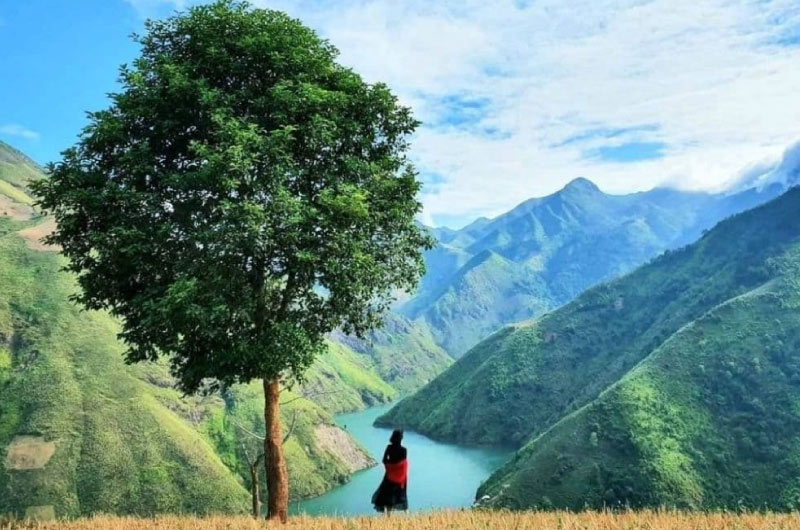 Amidst the vast expanse of Tà Xùa's mountains, the Lonely Tree stands resiliently on a mountaintop, ...
