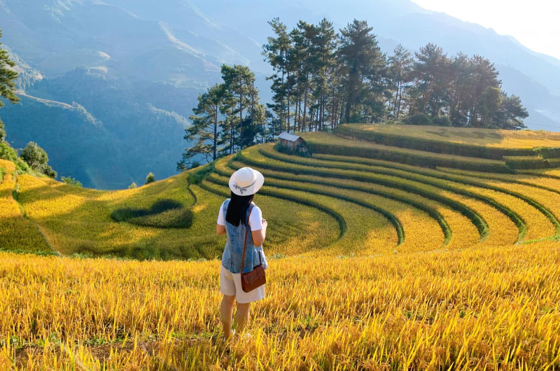 Tà Xùa is not only defined by its cloud season but also transforms with each passing season, reveali...