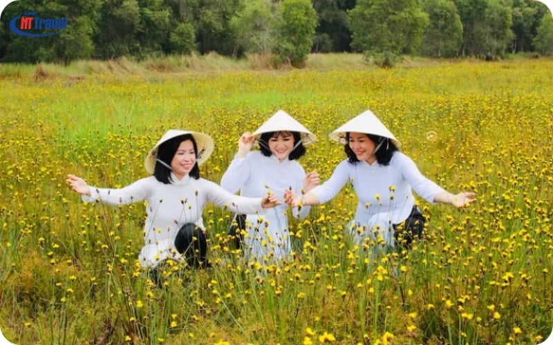 Tram Chim's nature is not just endless green but also bursts with vibrant seasonal flowers. From mid...