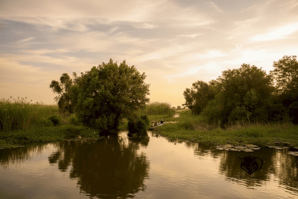 One of the unmissable experiences at Tram Chim is drifting along in a traditional 'xuồng ba lá' (thr...