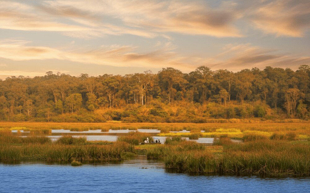 Chuyến đi Tràm Chim sẽ không trọn vẹn nếu thiếu đi hương vị ẩm thực đồng quê đặc sắc. Tại điểm dừng ...