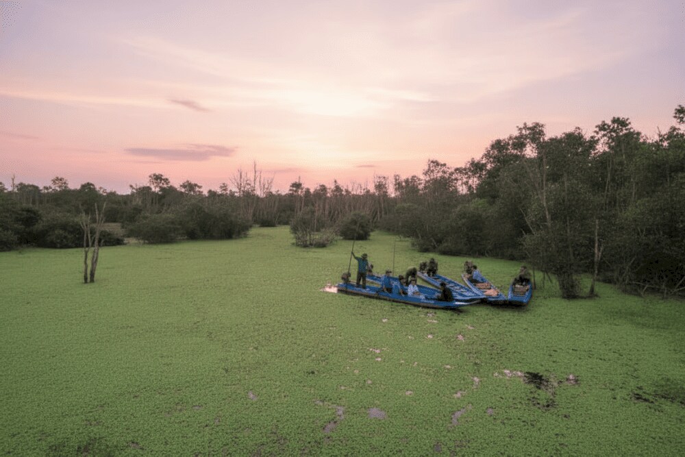 Tram Chim National Park, located in Tam Nong District, Dong Thap Province, is one of Vietnam's most ...