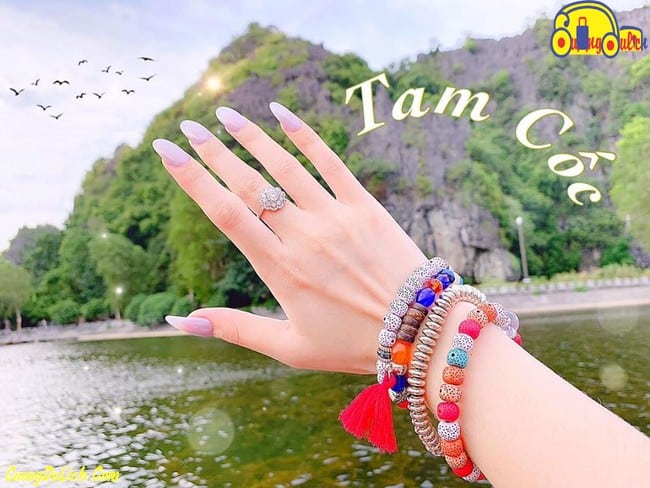 Dubbed the "Second Best Cave of the Southern Sky," Tam Cốc - Bích Động is an unmissable destination....