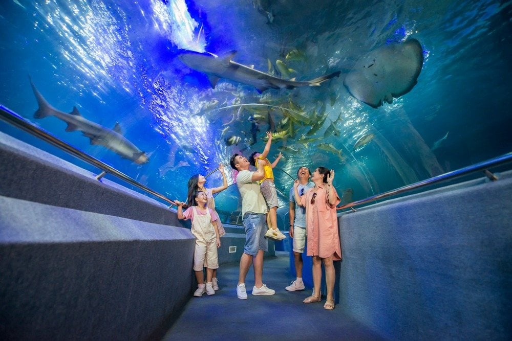 Dive deep into the mysterious underwater world at Sea World, where a vast aquarium is home to over 3...