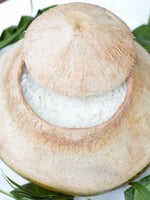 Coconut Rice in Shell & Coconut Candy – Iconic Delicacies from Bến Tre, Vietnam’s Coconut Paradise