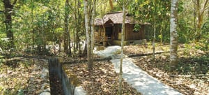 Cu Chi Tunnels: The Underground City – A Symbol of Enduring Resilience