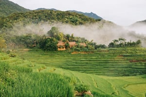 Pù Luông: A Verdant Gem in Thanh Hóa's Highlands