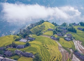 Hoang Su Phi Terraced Rice Fields: A Majestic Tapestry of Heaven and Earth
